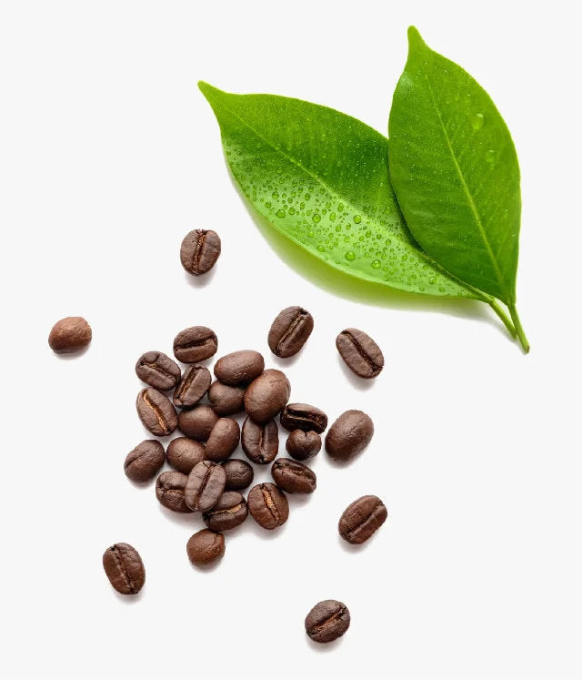 image of Caffeine 2™ ingredients