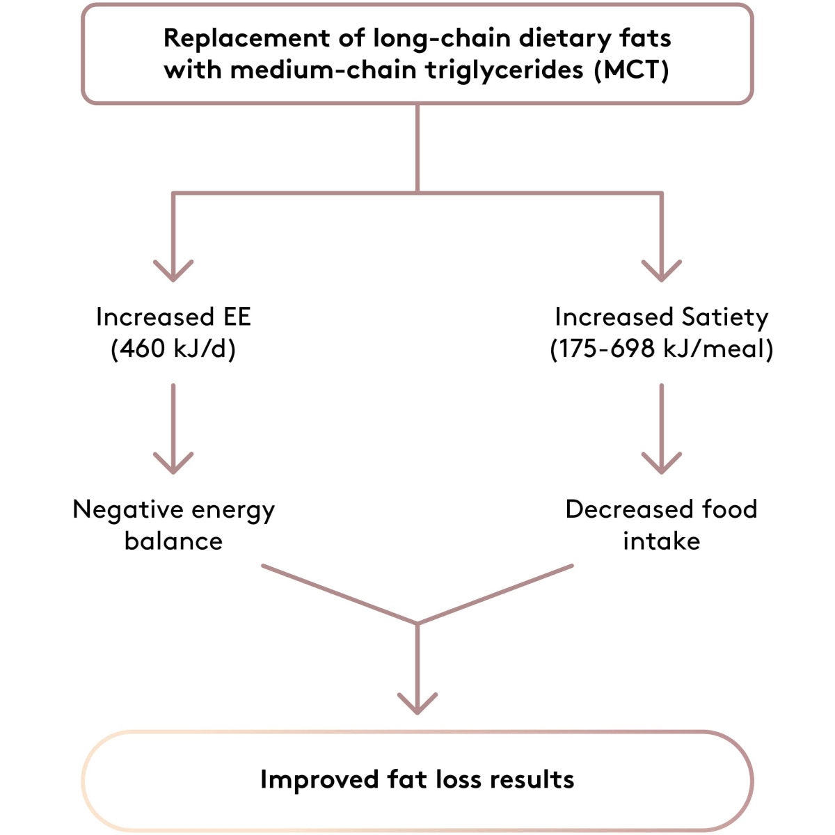 diagram explaining Performance Lab® MCT metabolic support