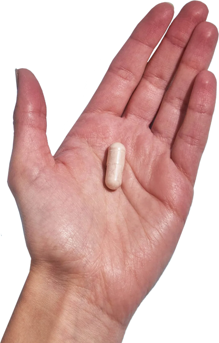 image of hand holding 1 Performance Lab® AU Zinc capsule